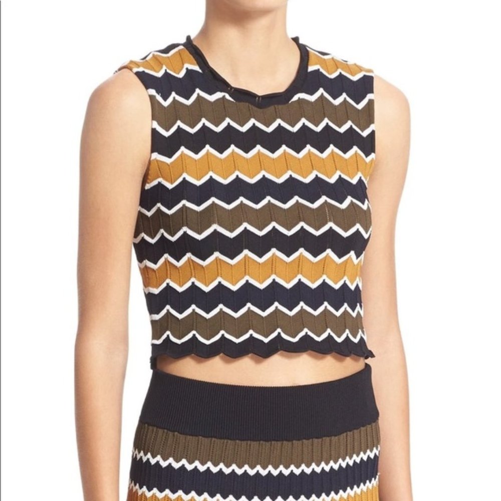 A.L.C. Leo Zig Zag Knit Crop Top